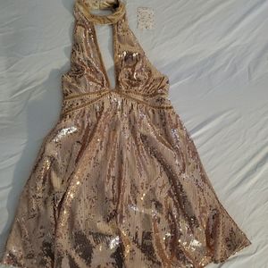 Sequin Dress - Free People - Rose Color